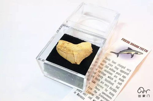 来自冰岛的冰雪诗篇 一份神秘小礼物的邀约